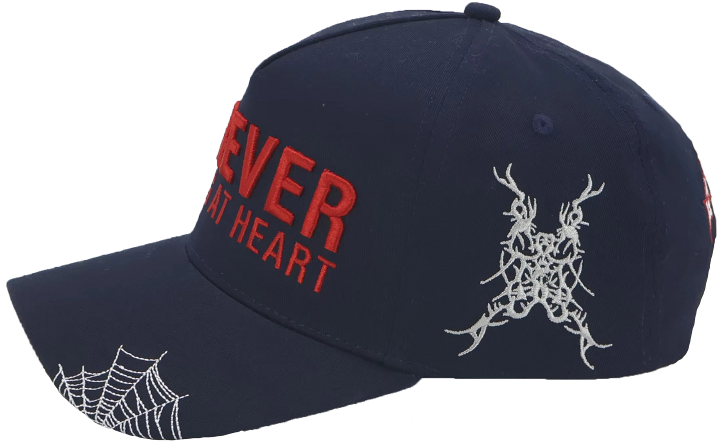 FOREVER YOUNG HAT