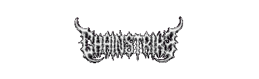 ChainStrike Combat Sports